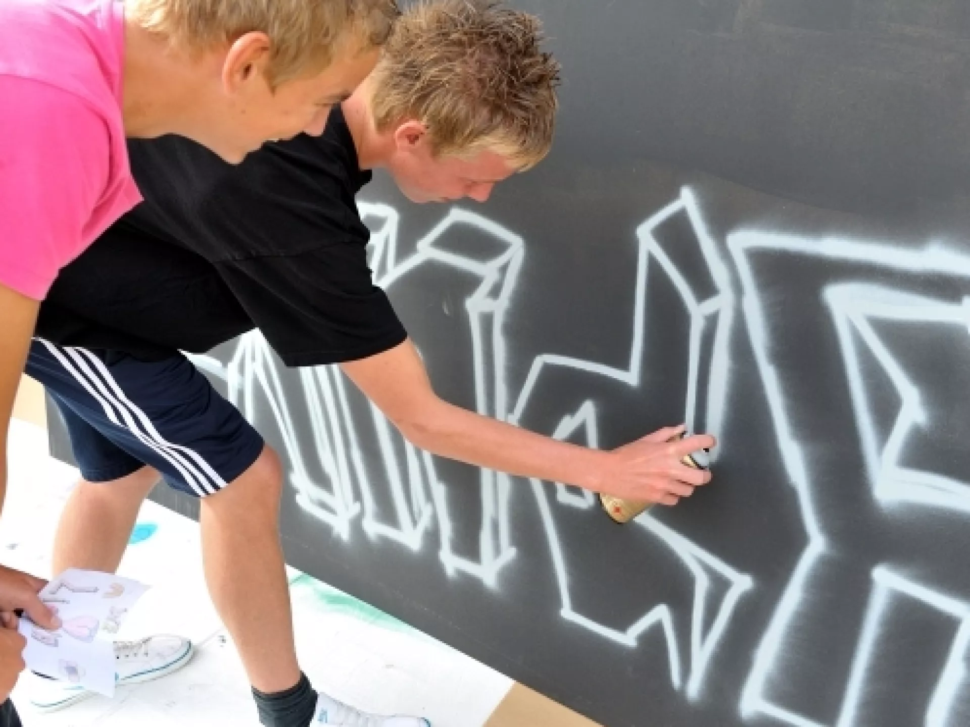 Professionalisering - culturele 50 - groot doek schilderen