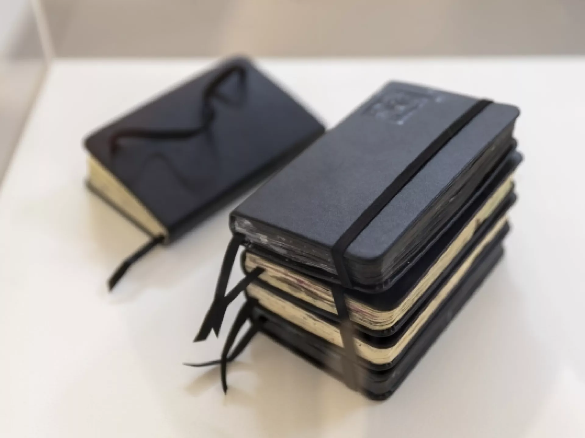 Makers - profs - schatten van Drenthe