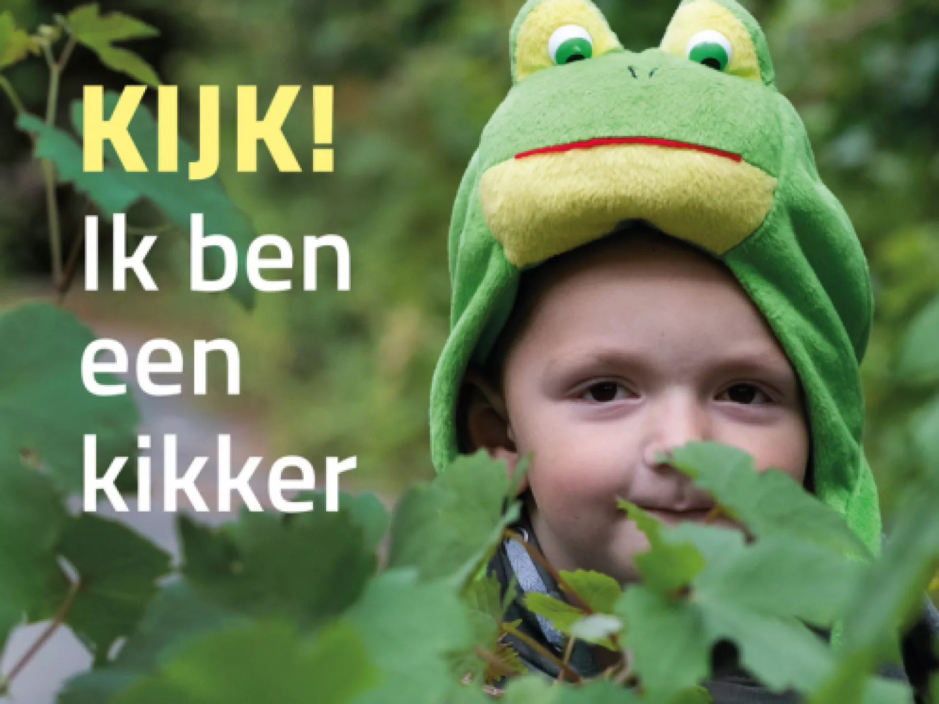 Meer muziek in de klas -  jongen in kikkerpak