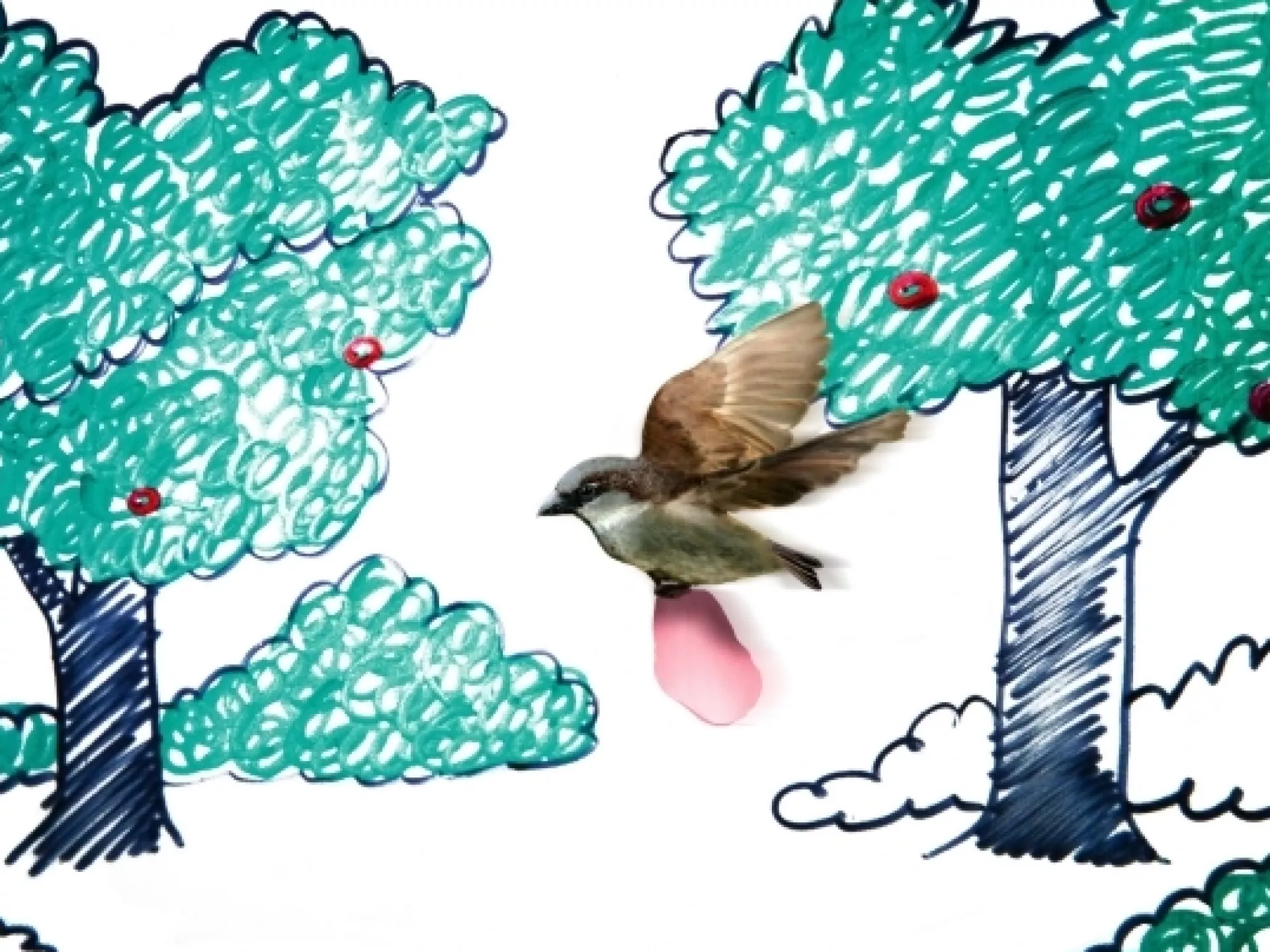 Tekening van bomen en vogel