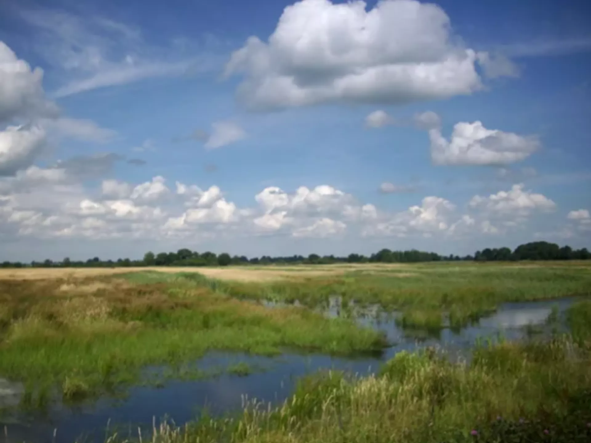 Makers - Profs - Into Nature - Inhale exhale - De Onlanden landschap met water
