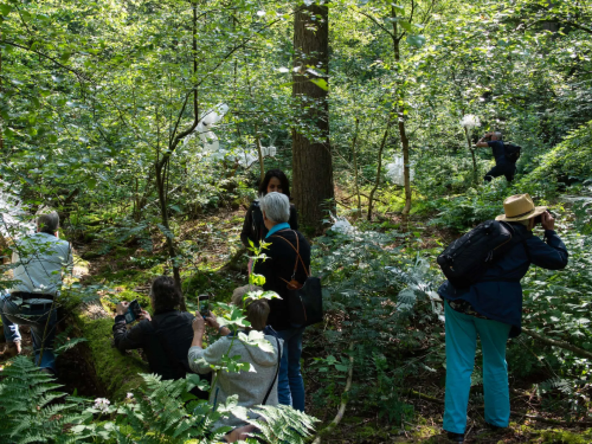 Een groep mensen verkent een bosrijke omgeving.