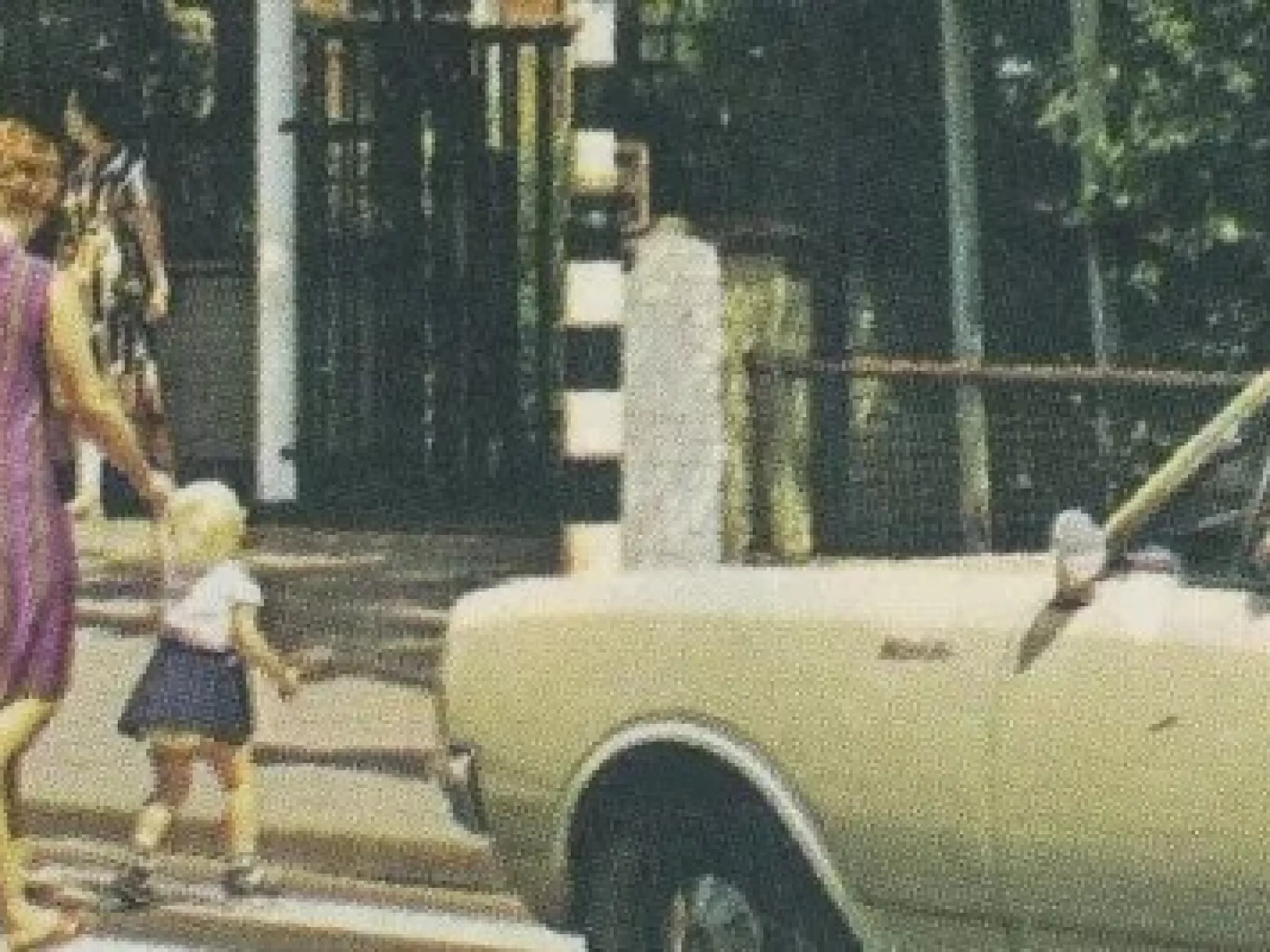 Mensen steken een zebrapad over terwijl een auto wacht.