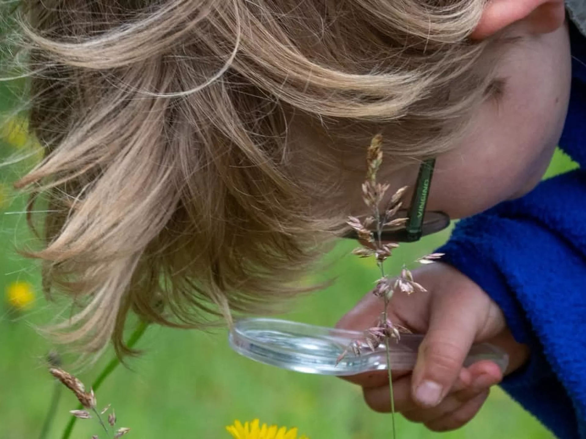 Kinderboekenweek - kind met vergrootglas in het gras 