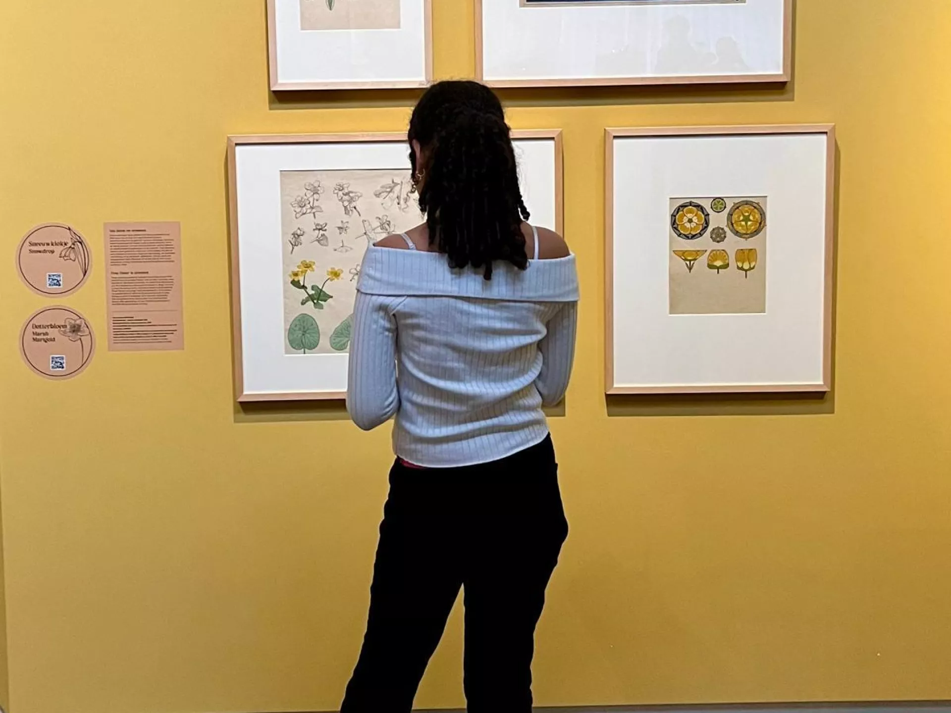 Culturele Mobiliteit - DM De Buitenplaats - tienermeisje bekijkt schilderijen