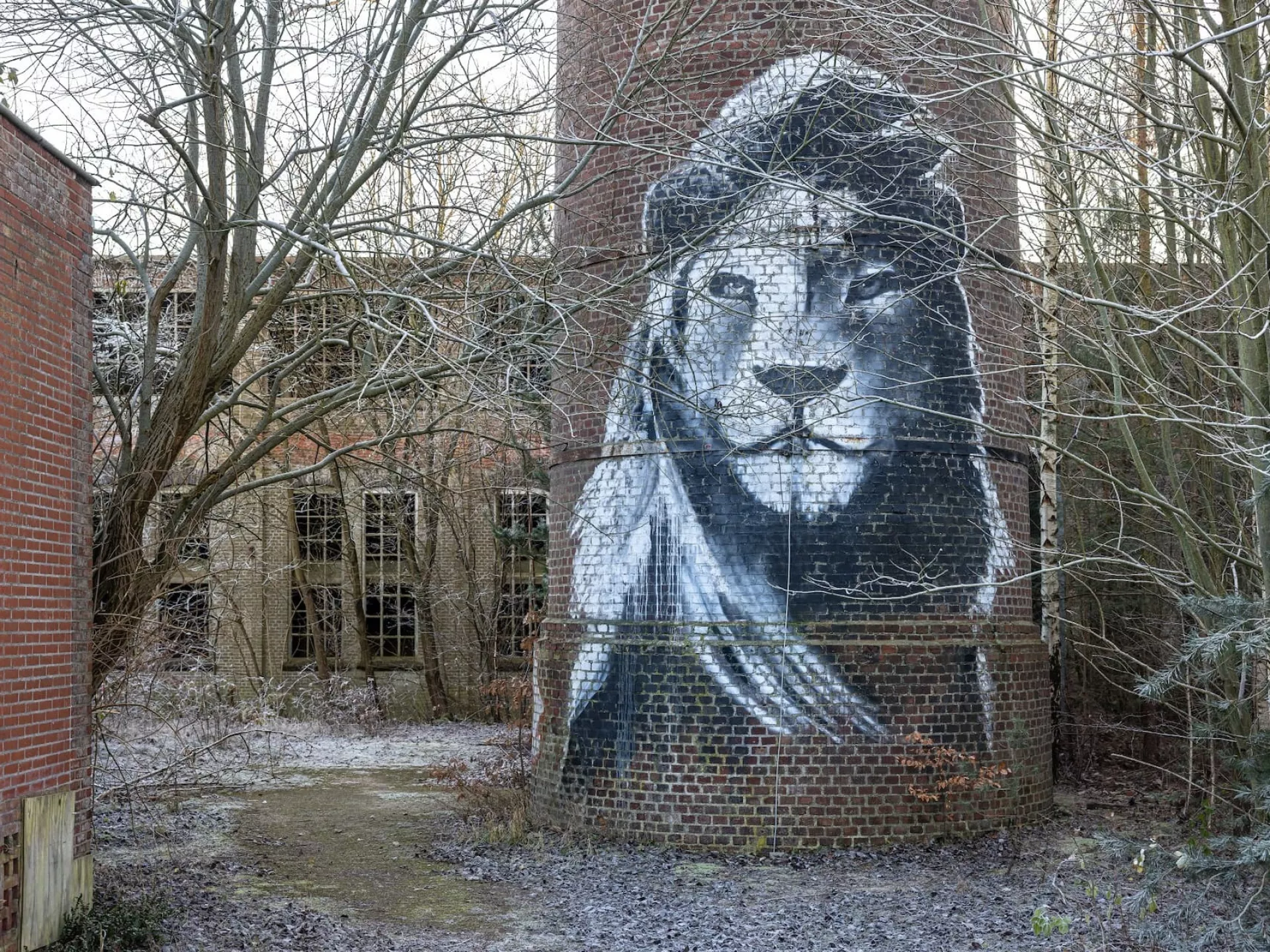 Erfgoedwijsheid - graffiti leeuw op stenen toren