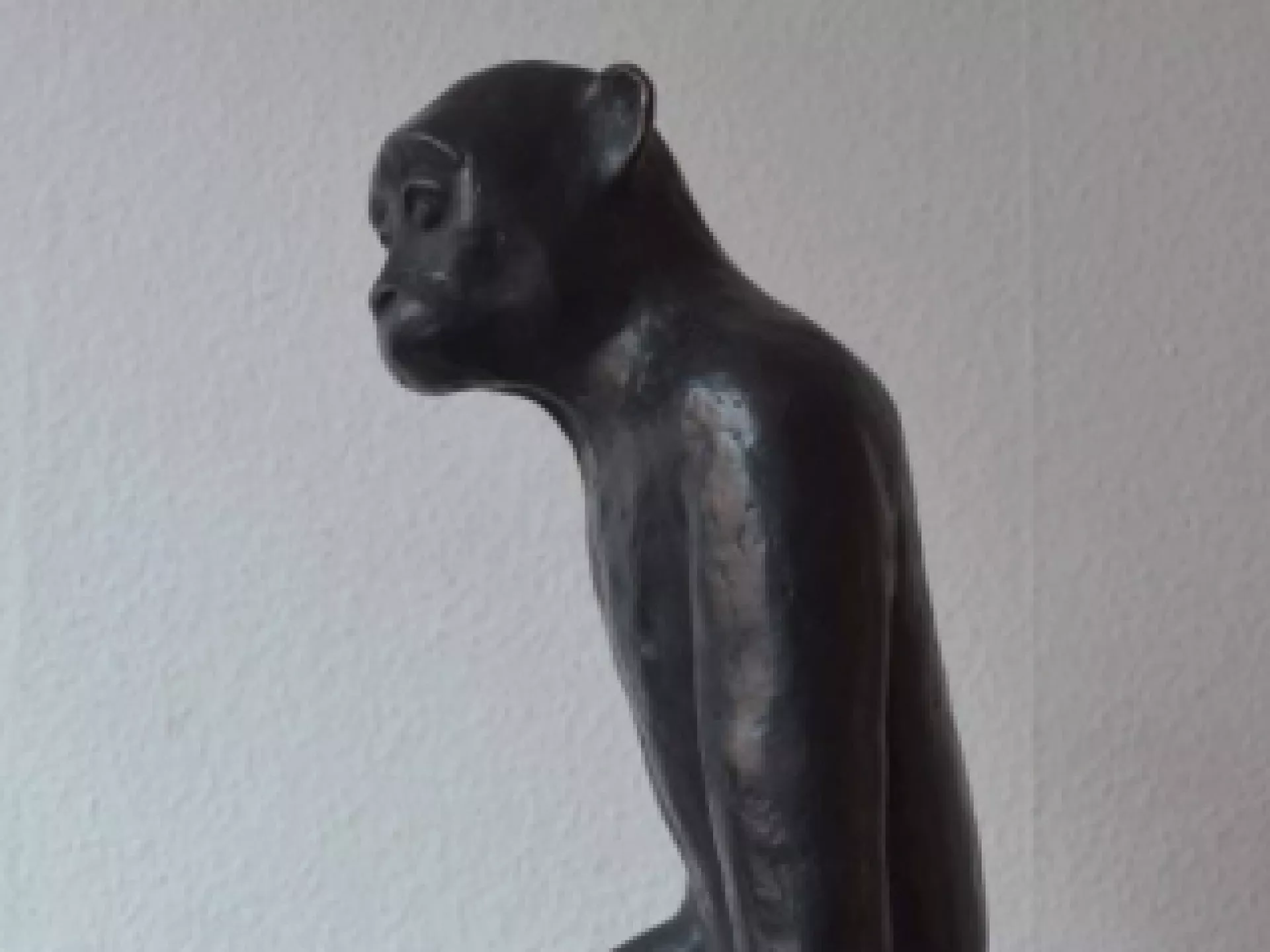 Kunst in de openbare ruimte - post antropoceen