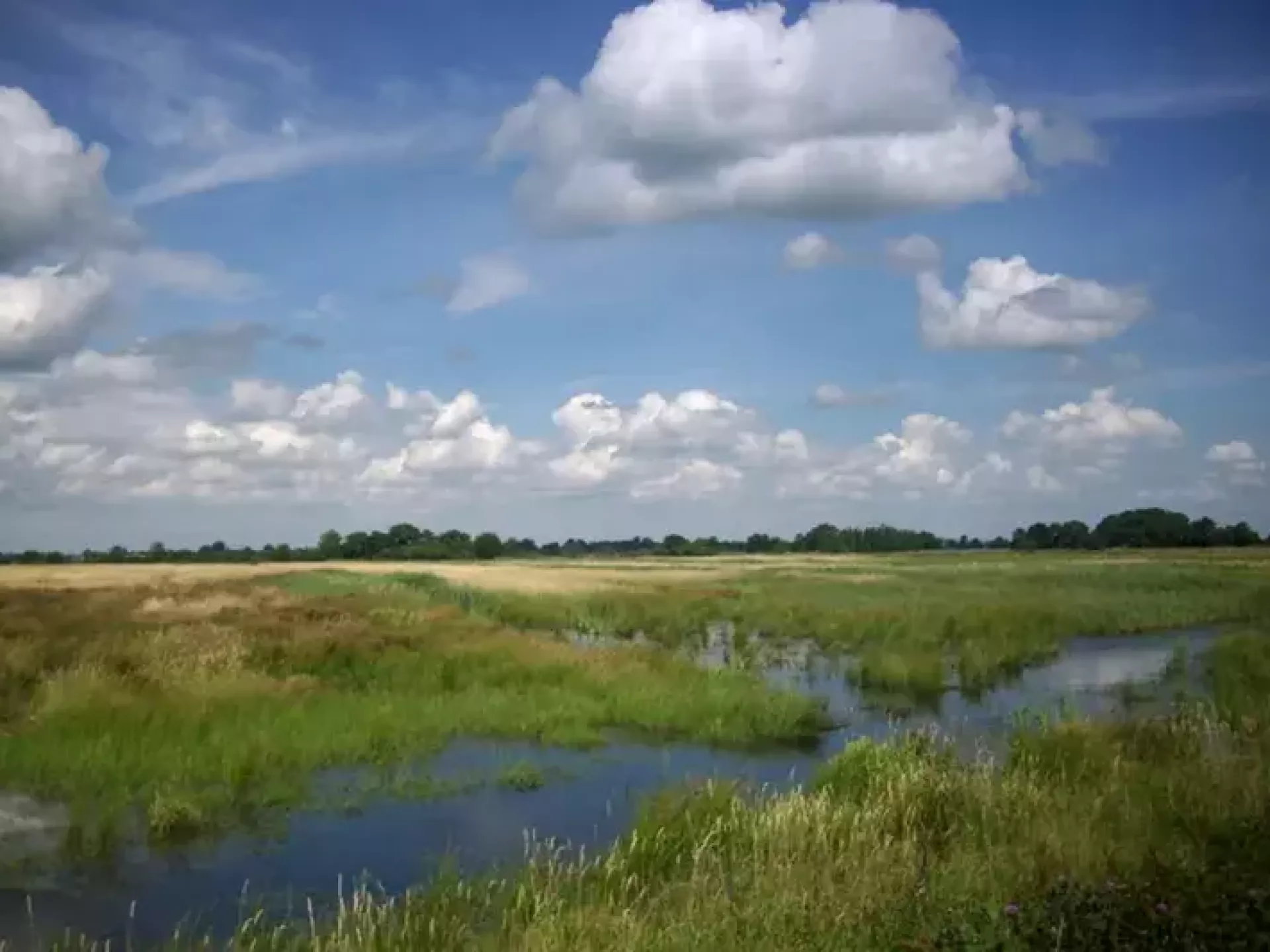 Kunst in de openbare ruimte - Into Nature - De Onlanden