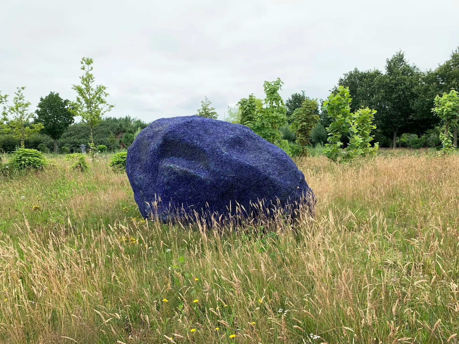 Makers - kunst en natuur - blauwe zwerfsteen in grasveld