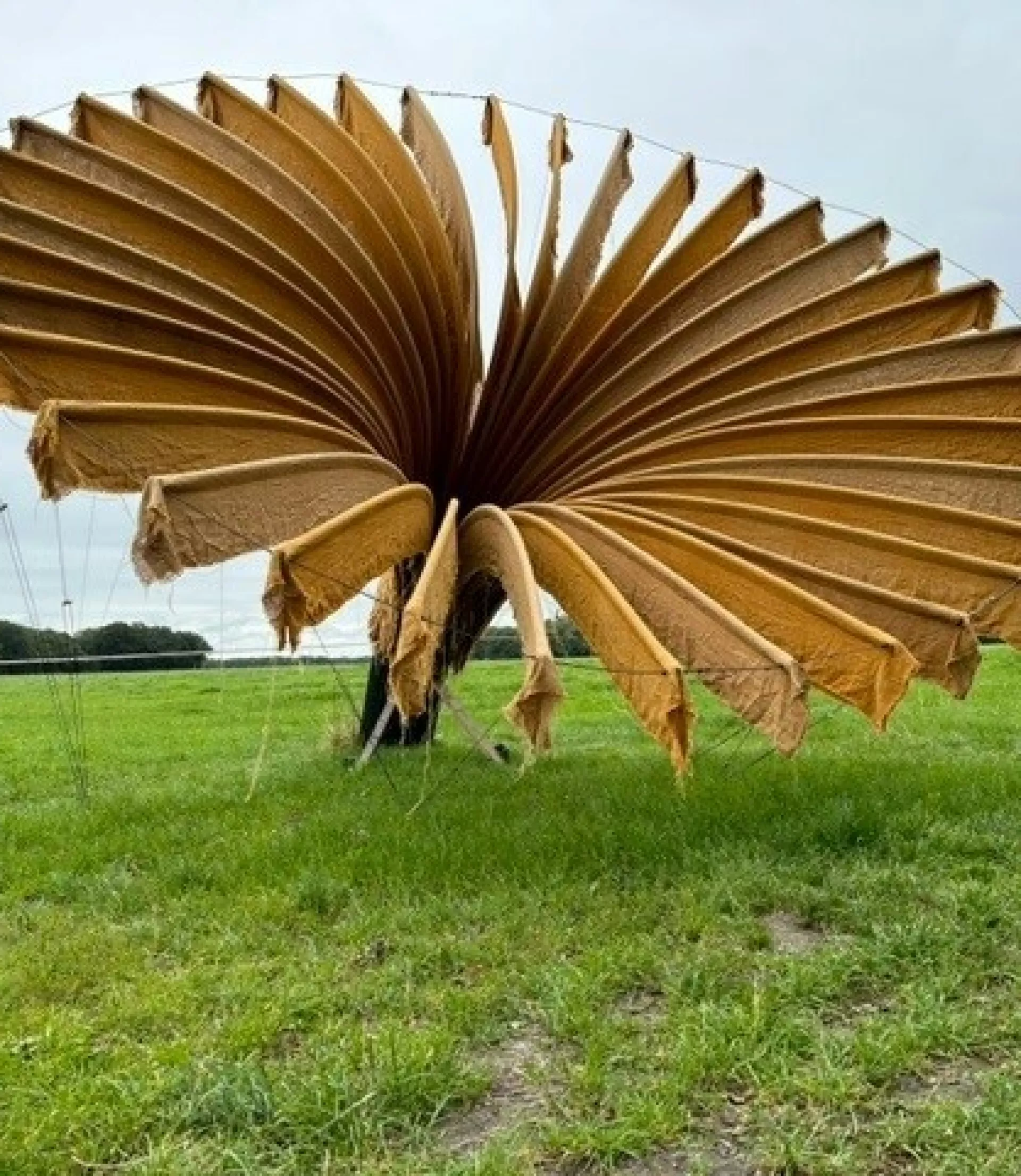 Publiek - festival - Folly Art Norg - folly