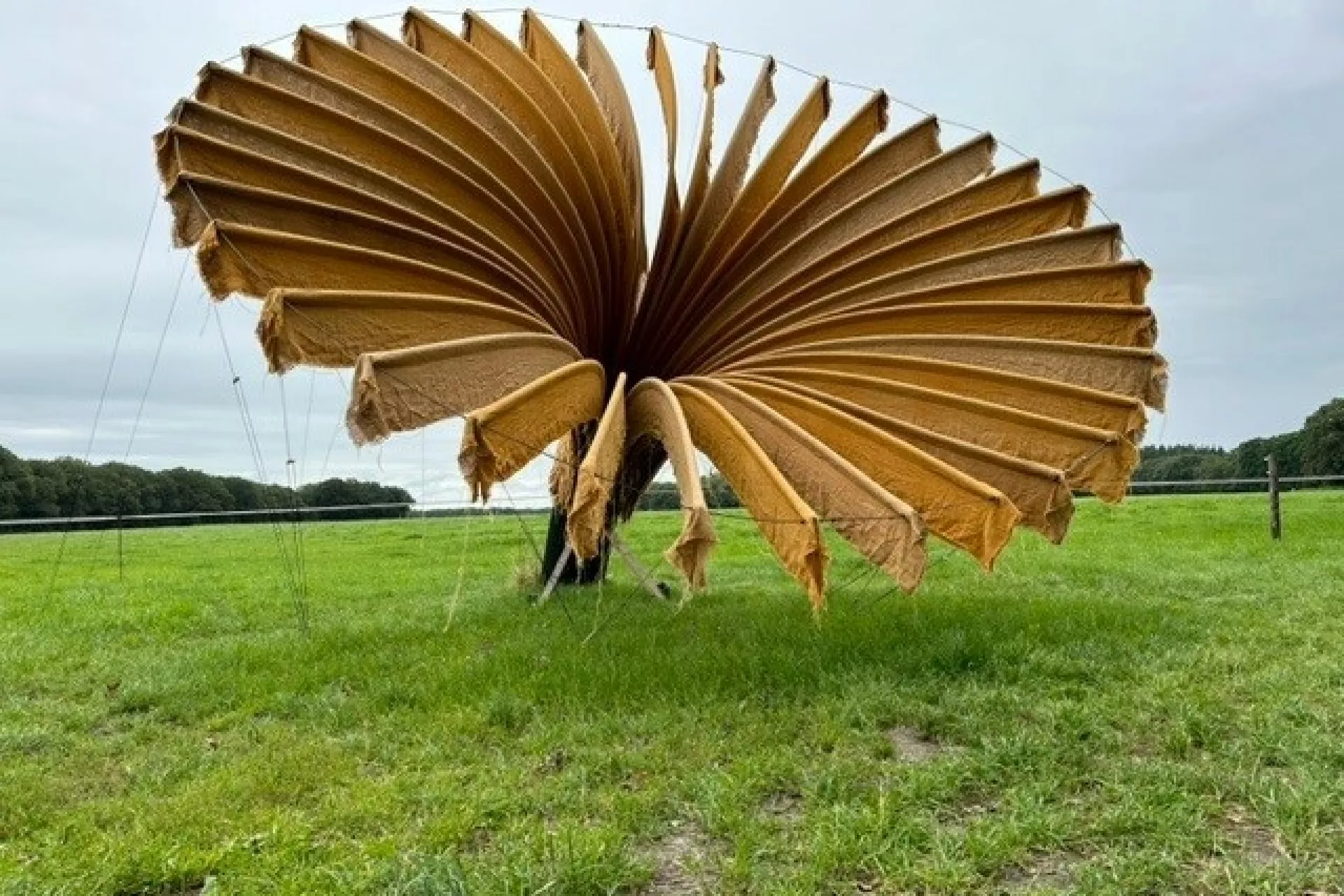Publiek - festival - Folly Art Norg - folly