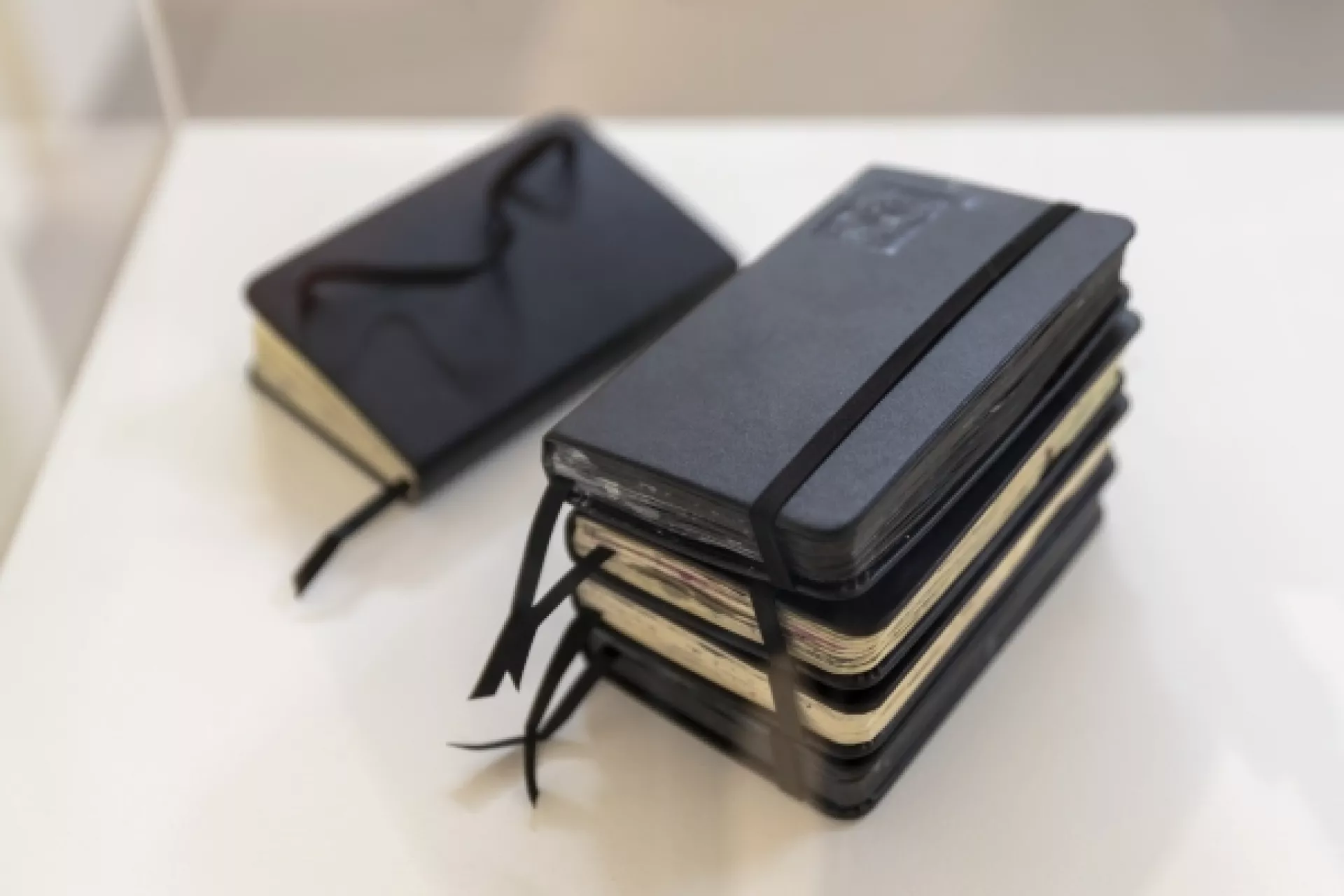 Makers - profs - schatten van Drenthe