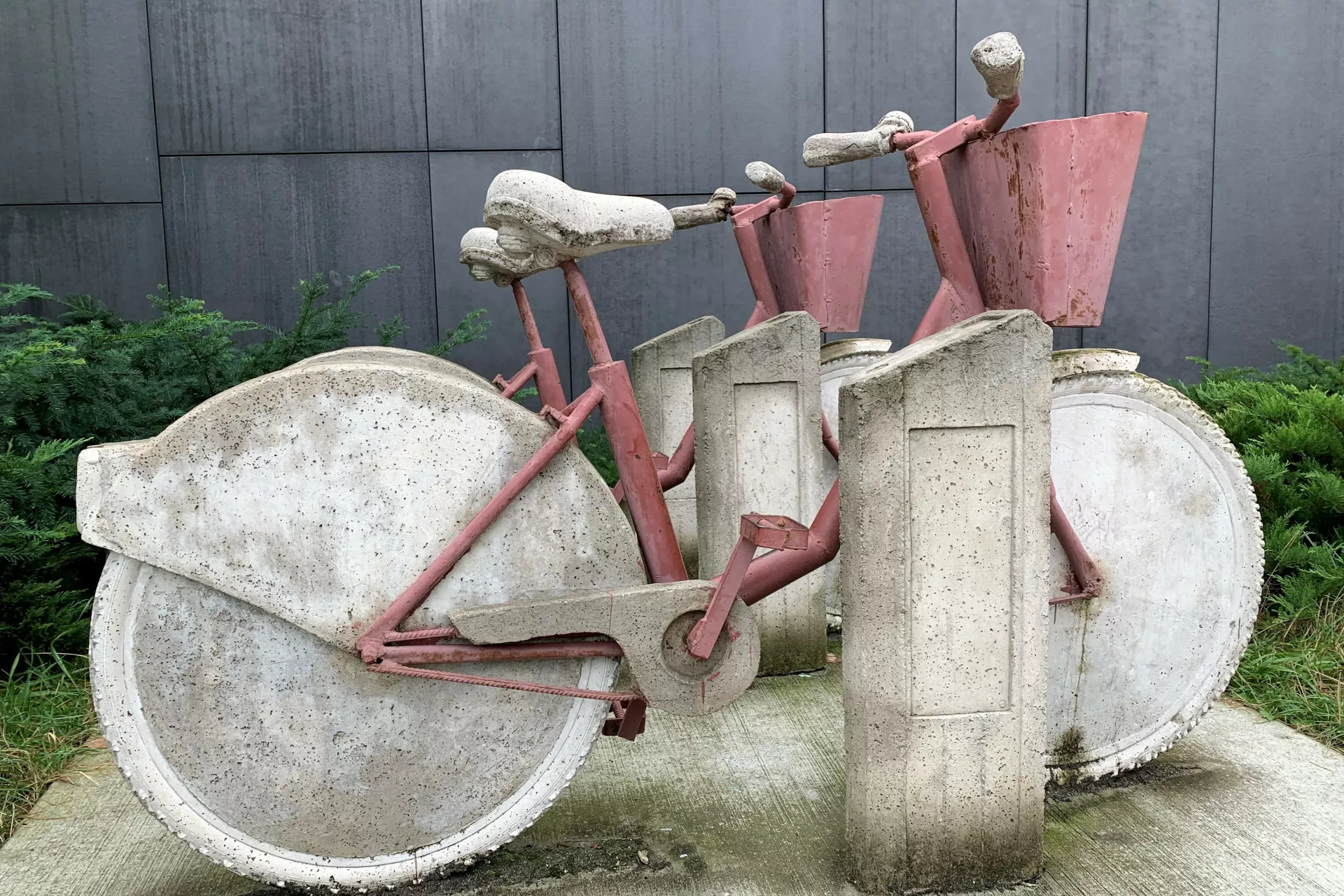 Fietsen