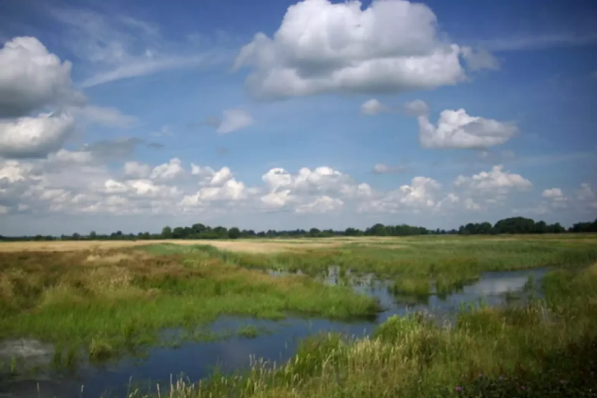 Makers - Profs - Into Nature - Inhale exhale - De Onlanden landschap met water