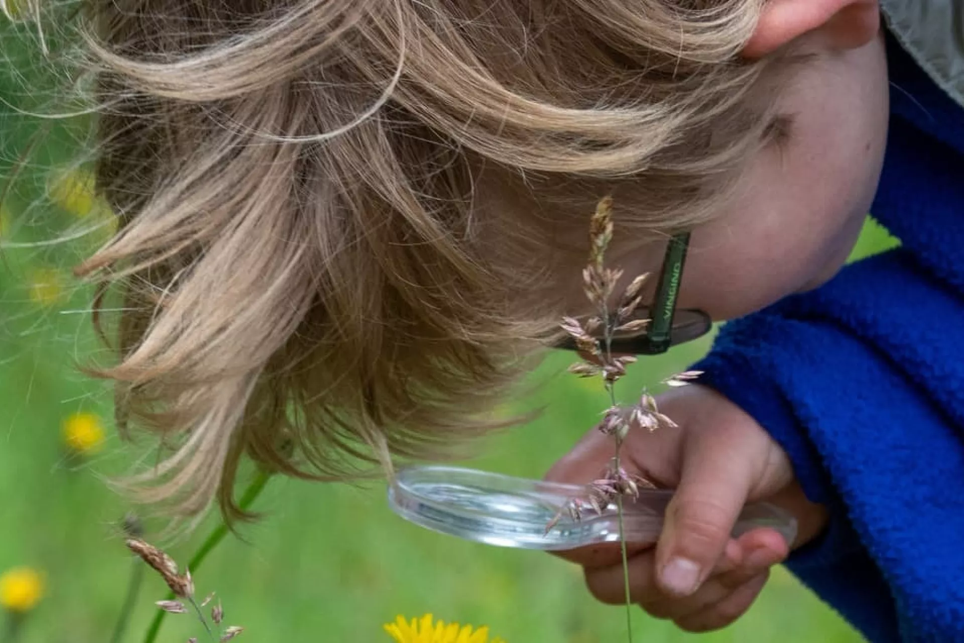 Kinderboekenweek - kind met vergrootglas in het gras 