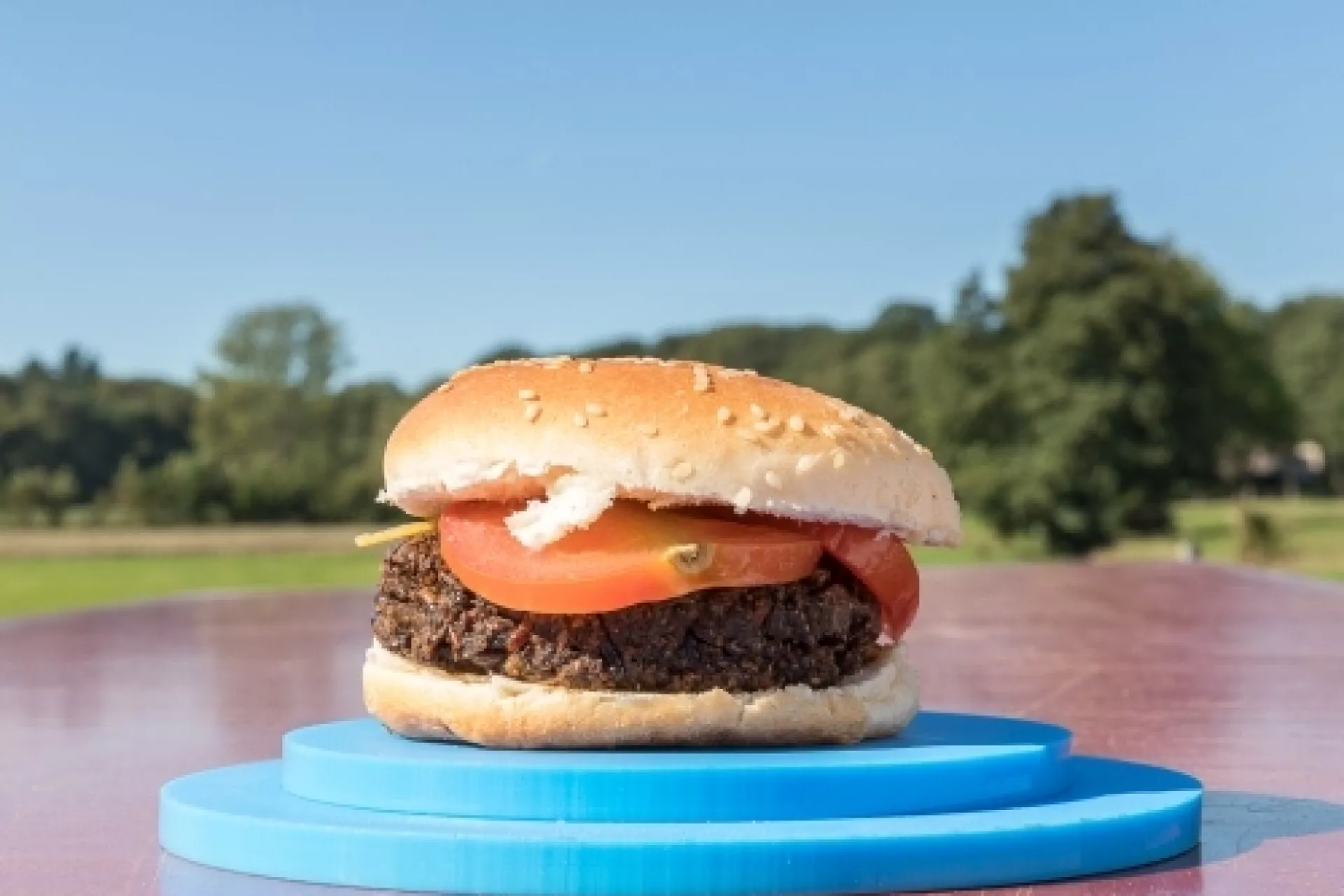 Portfolio - kunstproject VET - hamburger