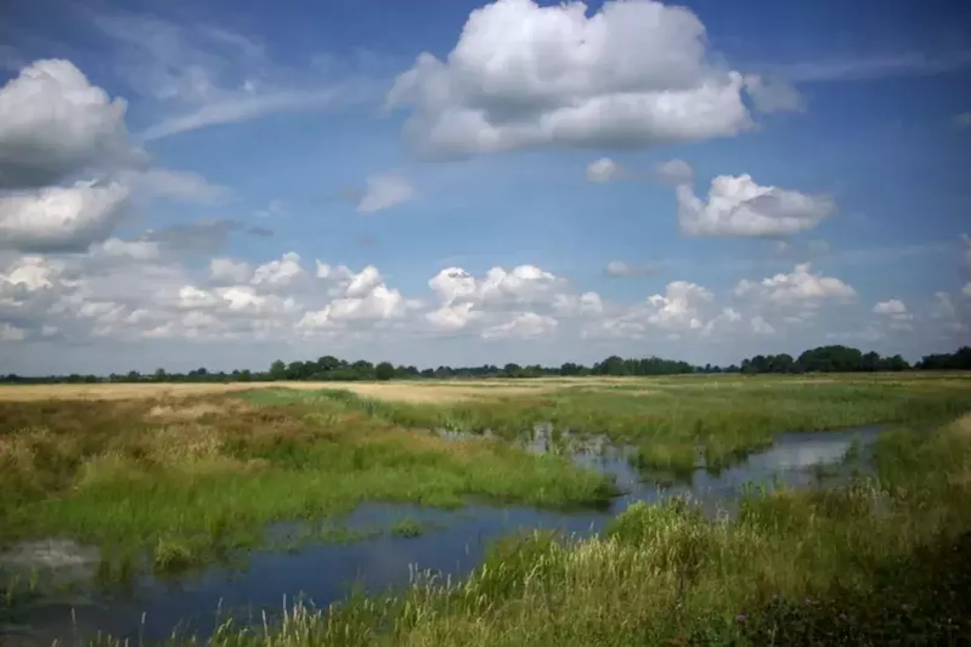 Kunst in de openbare ruimte - Into Nature - De Onlanden