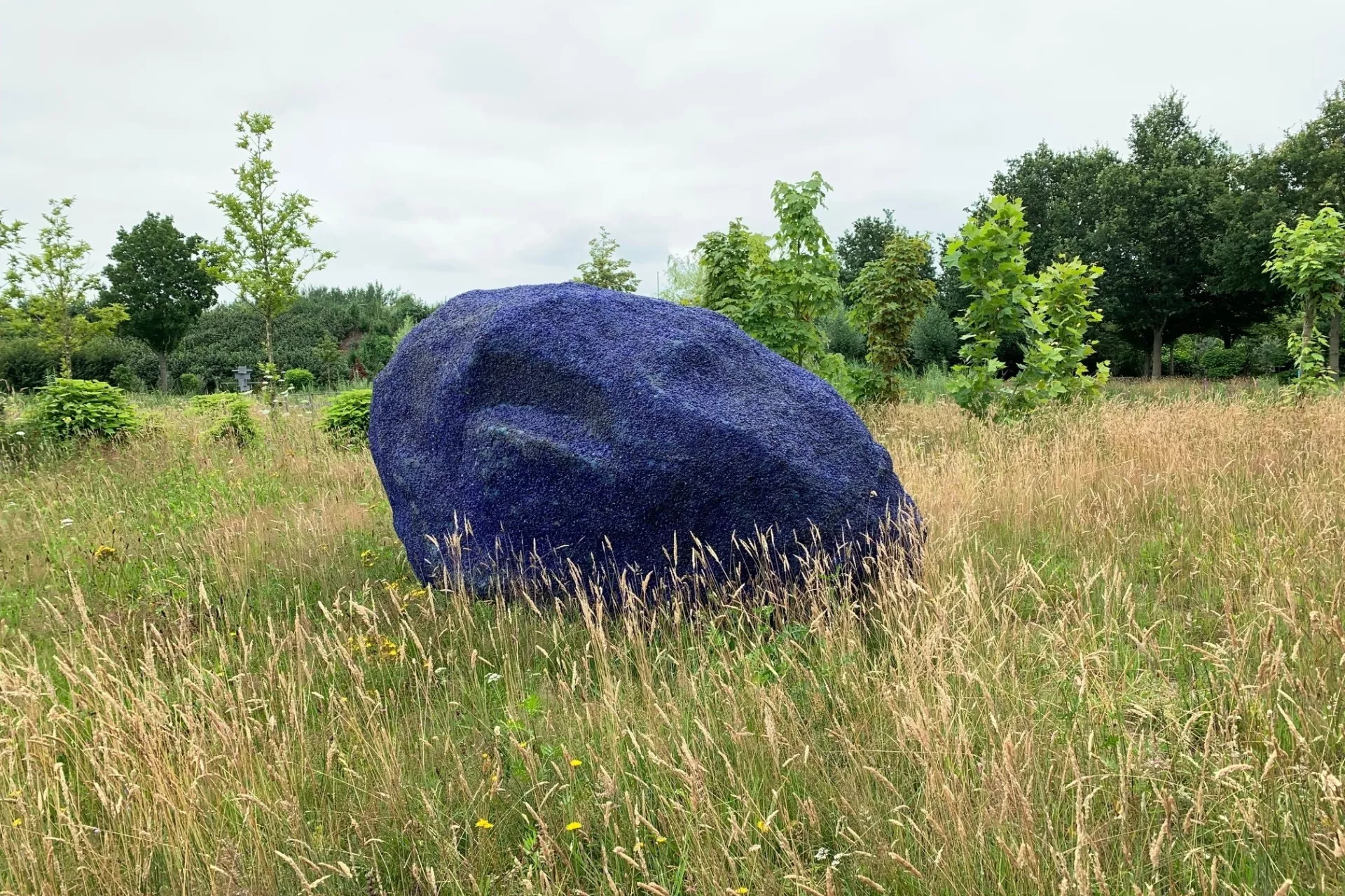 Makers - kunst en natuur - blauwe zwerfsteen in grasveld