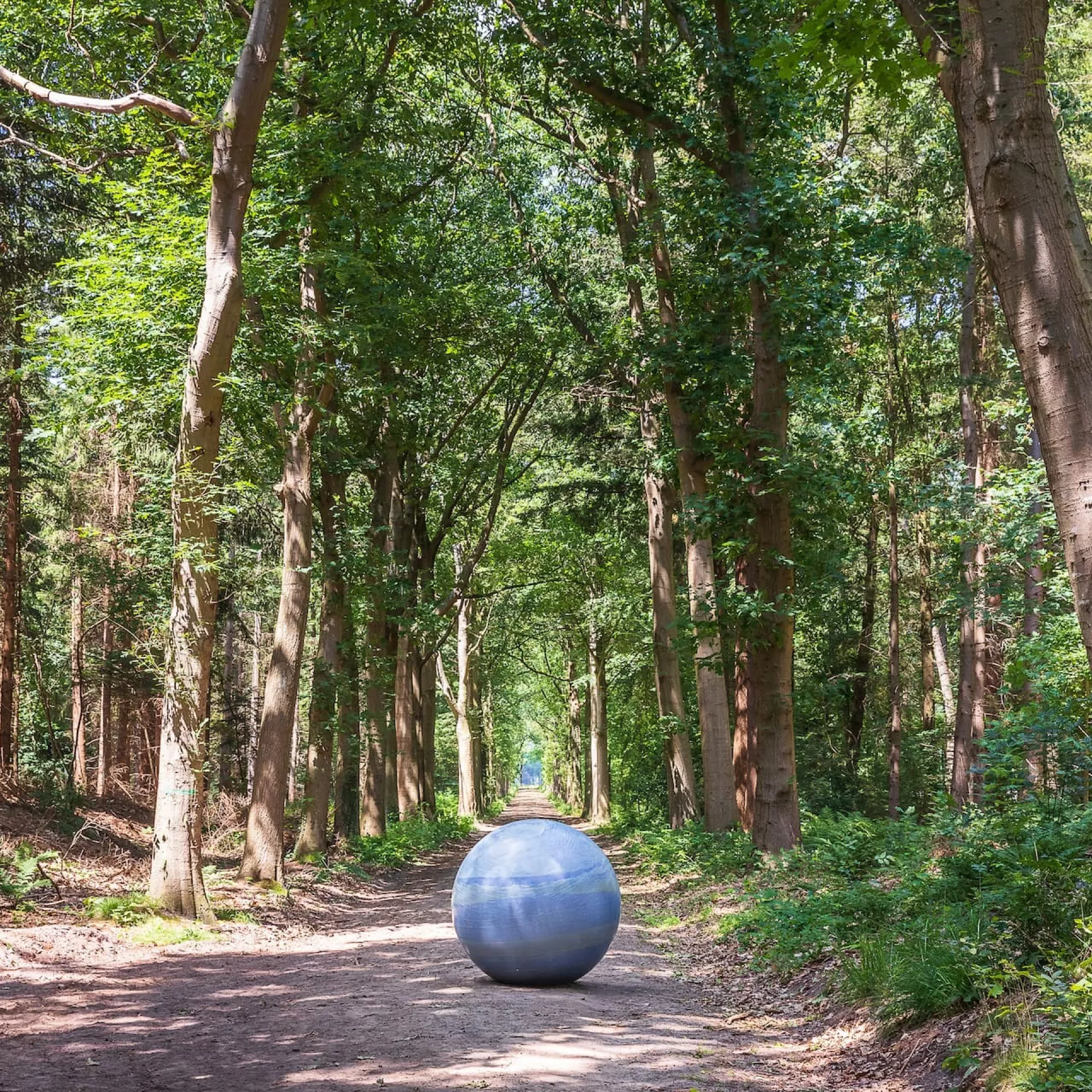 Placeholder contact - kunst in het bos