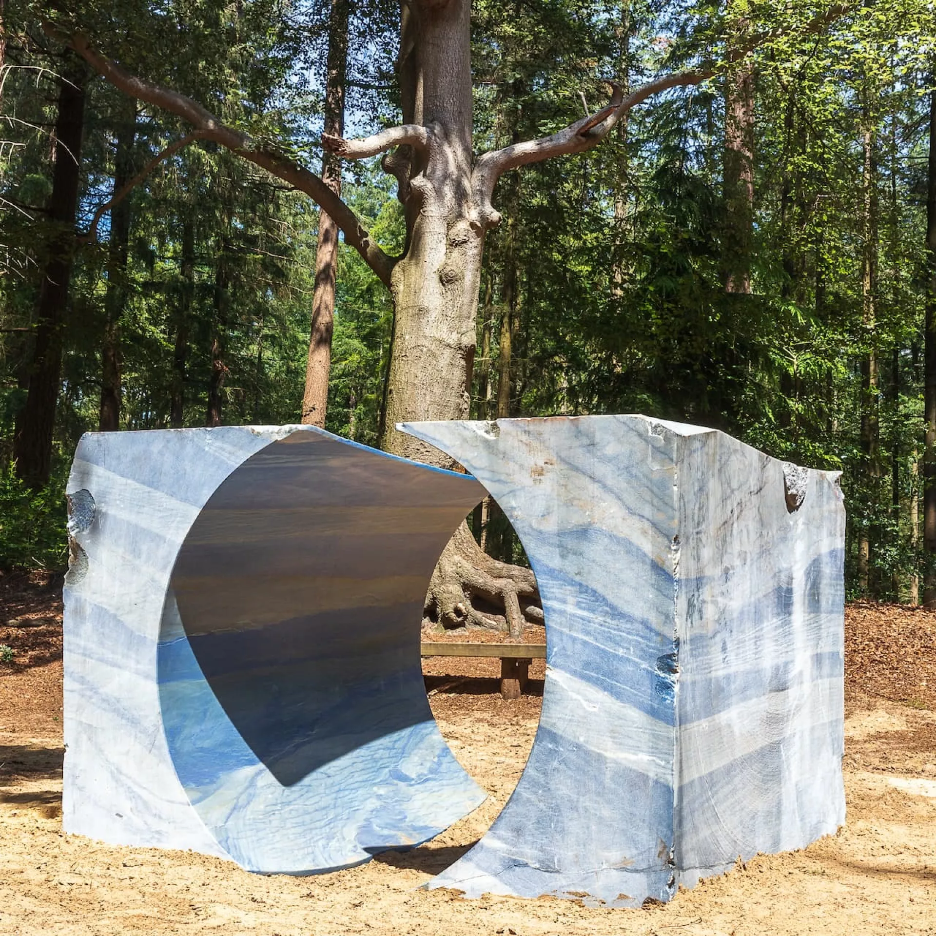 NIET VERWIJDEREN: Placeholder contact - kunst in het bos